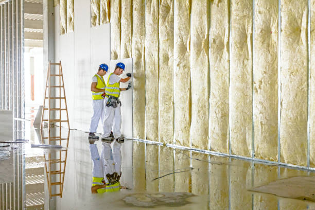 Professional Insulation Contractor in La Cienega, NM